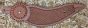 Cattleman’s Spurstraps Dove wing style
