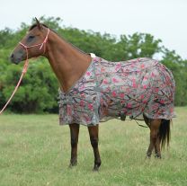 Cashel Econo Fly Sheet