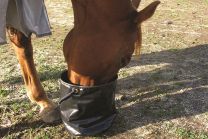 Collapsible Water Bucket