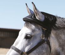 Cashel Horse Helmet