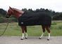 Tough Horse Regendeken inclusief 300gr Onderdeken - Half Neck - 1680D