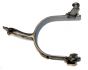 Show Spurs Men's - Reiner