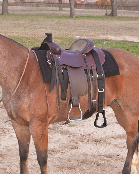 Cashel Easy Step-Up Stirrup