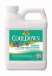 Absorbine Cooldown