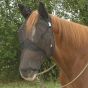 Cashel Quiet Ride Fly Mask Long Nose with Ears