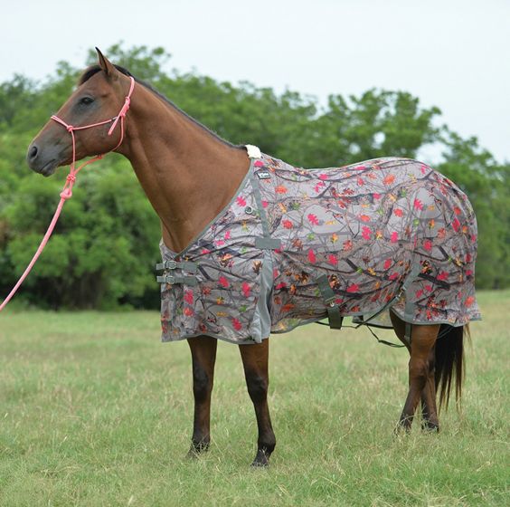 Cashel Econo Fly Sheet